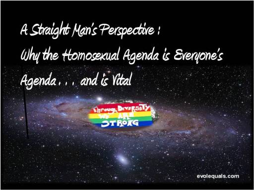 homoexual agenda